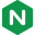 Nginx logo